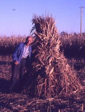 NBHA slides1036